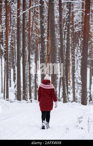 GULBENE, Lettland. 24. Dezember 2018. Frau das Tragen der roten Winterjacke, Wanderungen im verschneiten Wald. Verschneite Bäume und Wald Trail. Stockfoto