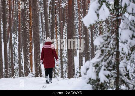 GULBENE, Lettland. 24. Dezember 2018. Frau das Tragen der roten Winterjacke, Wanderungen im verschneiten Wald. Verschneite Bäume und Wald Trail. Stockfoto