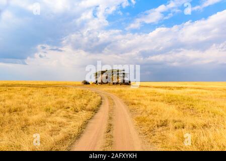 Pirschfahrt auf unbefestigte Straße mit Safari im Serengeti National Park in einer schönen Landschaft, Tansania, Afrika Stockfoto