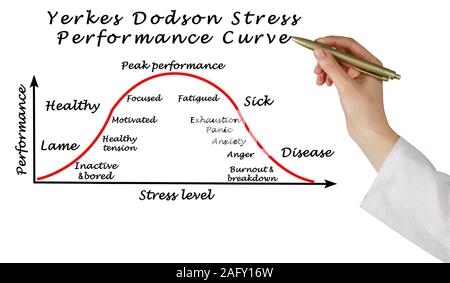 Yerkes Dodson Stress Leistungskurve Stockfoto