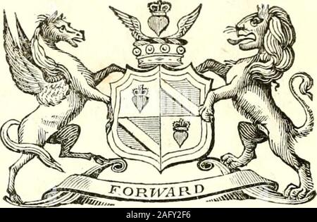 . Collins's peerage von England; genealogische, biographischen und historischen. RD MONTAGU, BOUGHTON. Henry James Scott, Baron Montagu Montagu, der Ast-Tonne, in Northamptonshire, gelungen, diese Baronie. Mai 28th, 1790, nach dem Tod seines Großvaters, George, letzten Herzog ofMoutagu,^ angenehm für die Beschränkung des Patents in lysQ gewährt. Dann nahm er die zusätzlichen Namen von Montagu. Seine Herrschaft ist der zweite Sohn von Heinrich, Herzog von Buccleuch, Ritter des Strumpfband. (Siehe Titel Earl of Doncaster, Bd. III.) Seine Lordschaft war Dezember l6th, 177&lt geboren; 5 und verheiratet, 22. November d, 1S04, Margaret, daug Stockfoto