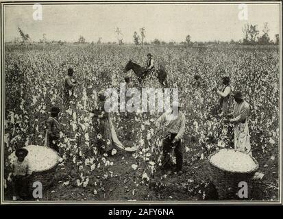 . Überprüfung der Bewertungen und der weltweit arbeiten. Der RockyMountains-a Birds Eye View des Südens couldbe hätte, hätte es zu einem mächtigen, resistless, nach vorn gerichtete Bewegung von Menschen, die, nachdem Sie strug - inmitten der Dunkelheit der Wüste withno Feuersäule, um ihnen zu Guide inbody Gled, gestärkt und durch den harten, aber siegreichen kämpfen, haben endlich in Sicht der Verheißene Land kommen. Nr. 1 mehr nach Westen bewegen wie T bisher, die Flut der Bevölkerung würde zu beturning nach Süden gesehen werden. TheSouths thehardened Veteranen des Kampfes für Indus-trial Unabhängigkeit sind seento Zeichnung werden schwere Reen - forcements fr Stockfoto