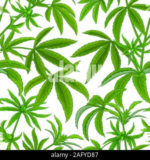 Hanf vector Pattern Stock Vektor