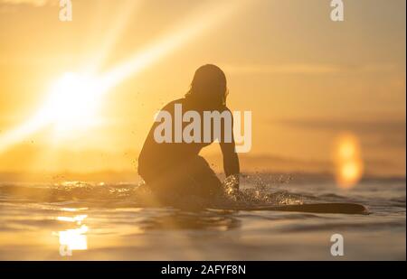 Surfen im Sonnenaufgang in Costa Rica Stockfoto