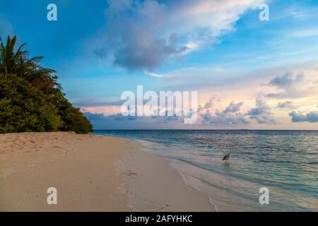 Sonnenaufgang am Strand auf einer Insel im Ozean Stockfoto