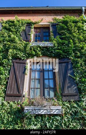 Europa, Luxemburg, Septfontaines, Op de Petzen, Efeu beschichtete Fassade der Familie zu Hause mit Fensterläden (Detail) Stockfoto