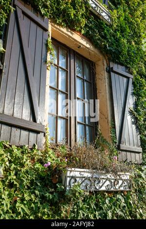 Europa, Luxemburg, Septfontaines, Op de Petzen, Efeu beschichtete Fassade der Familie zu Hause mit Fensterläden (Detail) Stockfoto