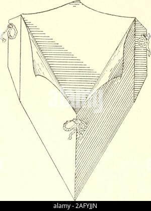 . Manuelle Pappe Bau für die dritten und vierten Klassen. 39 A3 Kurs.-Nr. 9. Toothpickholder. Bau: eine Linie 2 lange ziehen und auf ihm ein gleichseitiges Tri - angle konstruieren, Spitze unten. Auf den Seiten der Dreiecke zeichnen Quadrate. Zeichnen von Linien Vo von oben, in der Mitte und drawpoints wie auf der Zeichnung zu finden. Hinzufügen klappe Linien 14 von outsideof Quadrate schneiden auf voller Linie. Kerbe und auf die gestrichelten Linien falten. Klappen Klappen nach außen, und befestigen Sie sie mit Zahnseide, wie in der Skizze dargestellt. Roll poinfs ovoi Bleistift nach außen Ms sliown in Skizze. Material: Taulx-ard.. 40 Stockfoto