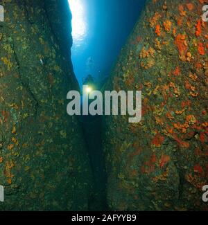 Scuba Diver in einem mediterranen Reef, Canyon overcrusted mit roten Schwämmen, Zakynthos Insel, Griechenland Stockfoto