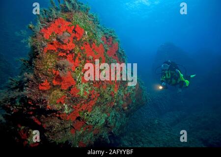 Scuba Diver in einem mediterranen Reef, Felsen overcrusted mit roten Schwämmen, Zakynthos Insel, Griechenland Stockfoto