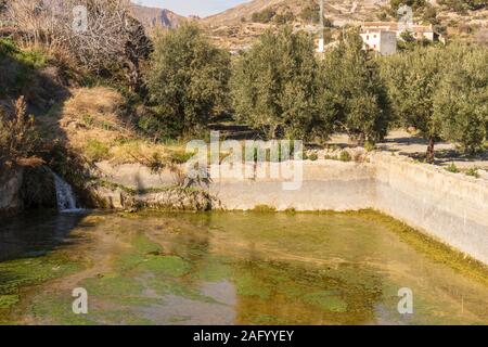 Wasser Holding Tank für die Bewässerung von Olivenbäumen, Andalusien Spanien Stockfoto