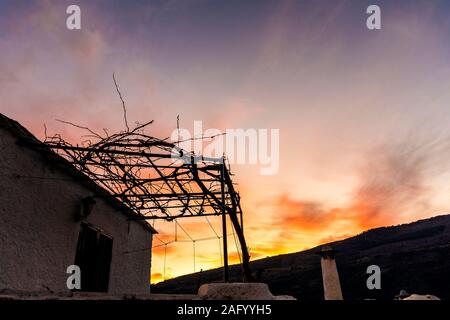 Capileira, La Alpujarra, Alpujarras, Granada, Andalusien, Spanien. Sonnenuntergang über Winter Reben im Dorf. Stockfoto