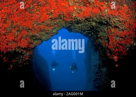 Scuba Diver in einem mediterranen Reef, Rocky arch overcrusted mit roten Schwämmen, Zakynthos Insel, Griechenland Stockfoto