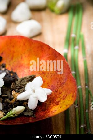 Trocken Tee mit Jasmin Blume auf einem Blatt - Zierpflanzen Stockfoto