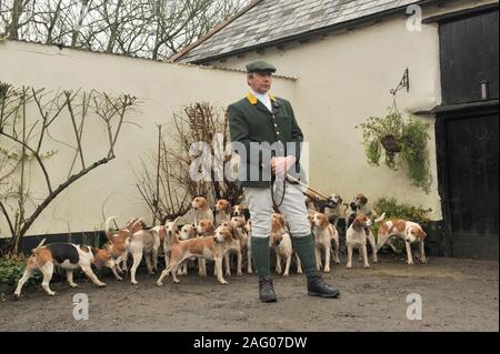 Berkley Beagle pack Stockfoto