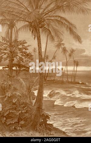 Der Strand von Waikiki, Hawaii, 1898. Kokospalmen und Papaya Bäume in der Nähe von Diamond Head, einem vulkanischen Tuff Kegel auf der Insel O'ahu. "Am Strand von Waikiki in Oahu - Diamond Head, Honolulu". Von "Rund um die Erde" [um die Erde], geschrieben und durch C. W. Allers dargestellt. [Union Deutsche Verlagsgesellschaft, Stuttgart, 1898] Stockfoto