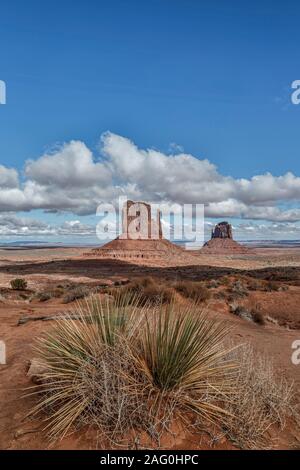 Cactus, West Mitten Butte (links) und East Mitten Butte (Handschuhe), Monument Valley, Utah und Arizona Grenze USA Stockfoto