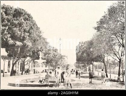 . Drei junge Crusoes, ihr Leben und ihre Abenteuer auf einer Insel in der Karibik. g nach unten, bis Sie den Boden erreichen, whenthey Formular neue Stämme wie die Banyan. Es makesan ausgezeichnete Schatten. Die Früchte sind gelb oder rot. Guave. Ein kleiner Baum mit groben Rinde und brownor rötliches Holz, die schwer ist und stark. Theflowers ähneln Kirschblüten. Die Frucht isround- oder birnenförmig und zwei oder drei Zoll im di-Ameter. Die berühmten guava Jelly, so bekannt in Westindien und auf Schiffen berühren bei West In-dian Häfen, ist von der Frucht dieses Baumes. Hog Plum. Dieser Baum ist viel für Zaun-Post verwendet Stockfoto