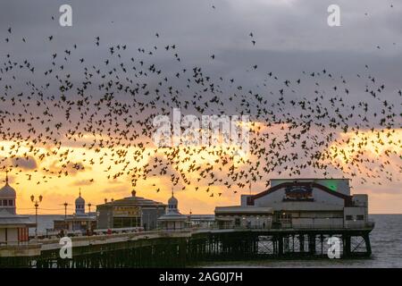 Blackpool, Lancashire. UK Wetter. 17 Dez, 2019. Sonnenuntergang als Stare versammeln sich in Blackpool unter der North Pier zu Roost. Diese erstaunlichen Vögel auf einem atemberaubenden Flug Anzeige bei einer nur einer Handvoll ihre bevorzugten Rastplätze in ganz Großbritannien. Die riesige Schwärme von Staren, deren Zahl auf 60.000 geschätzt werden, sind durch die wandernden Herden aus dem kalten Kontinent verbunden. Credit: MediaWorld Images/Alamy leben Nachrichten Stockfoto