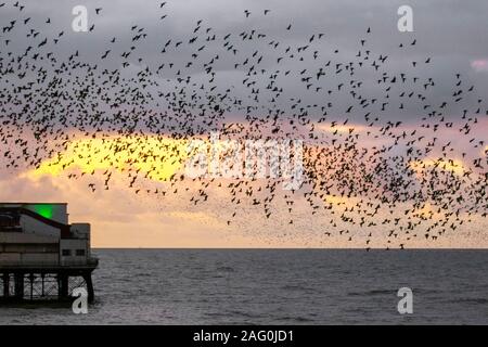 Blackpool, Lancashire. UK Wetter. 17 Dez, 2019. Sonnenuntergang als Stare versammeln sich in Blackpool unter der North Pier zu Roost. Diese erstaunlichen Vögel auf einem atemberaubenden Flug Anzeige bei einer nur einer Handvoll ihre bevorzugten Rastplätze in ganz Großbritannien. Die riesige Schwärme von Staren, deren Zahl auf 60.000 geschätzt werden, sind durch die wandernden Herden aus dem kalten Kontinent verbunden. Credit: MediaWorld Images/Alamy leben Nachrichten Stockfoto