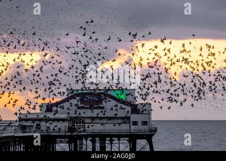 Blackpool, Lancashire. UK Wetter. 17 Dez, 2019. Sonnenuntergang als Stare versammeln sich in Blackpool unter der North Pier zu Roost. Diese erstaunlichen Vögel auf einem atemberaubenden Flug Anzeige bei einer nur einer Handvoll ihre bevorzugten Rastplätze in ganz Großbritannien. Die riesige Schwärme von Staren, deren Zahl auf 60.000 geschätzt werden, sind durch die wandernden Herden aus dem kalten Kontinent verbunden. Credit: MediaWorld Images/Alamy leben Nachrichten Stockfoto