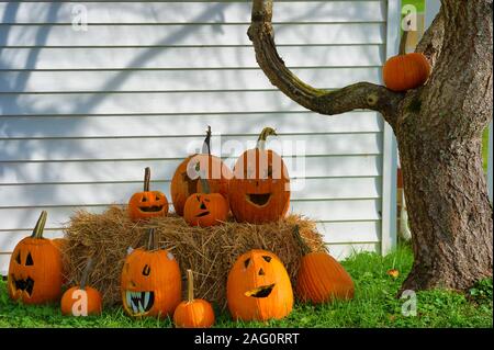 Geschnitzte Kürbisse unter einem Baum für Halloween Dekorationen in einem Kirchhof. Stockfoto