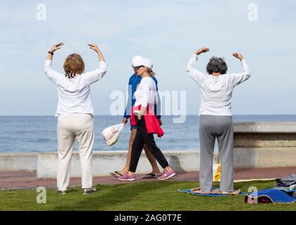 Ansicht der Rückseite des reife Frauen üben Falun Dafa/Falun Gong im Freien Stockfoto