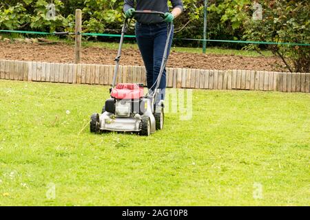 Eine Frau mäht Ihren Rasen im Sommer Stockfoto