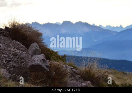 Sonnenaufgang auf dem Monte Luco im Val di Non Stockfoto