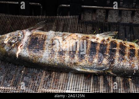 Lachs gefüllt mit Kräutern Grillen auf dem Grill Stockfoto