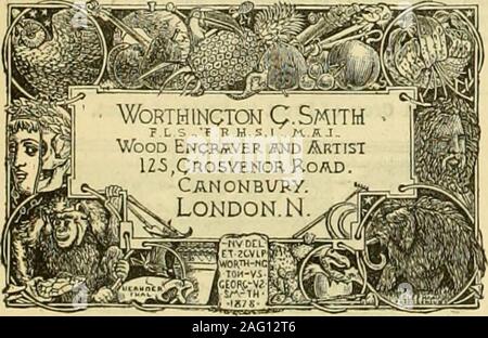 . Die Gärtner' Chronik: Eine wöchentliche Illustrierte Zeitschrift über Gartenbau und verwandte Themen. sts bei Anwendung. ALFRED SYER, Glas, Blei, Zink. Öl- und ColorMerchant, 6 und 8, die Pentonville Road, London, N. BELGISCHE GLAS lor Gewächshäuser, &c., können in allen Größen und Qualitäten erzielt werden, der BETHAM & Sohn, 9. LOWER THAMES STREET. LONDON. E.C. B, & Sohn haben immer ein großes Lager in London von 20 in., 12 in., Ao-in. durch 14-in.. 20-in. Durch i 6-in., 20 in., indem ich 8-in., in 16 oz und 21 oz. Verlust von Zeit ist Verlust von Geld. - Unfälle Verlust verursachen, und kann durch eine Politik des OAILWAY BEIFAHRER zur Verfügung gestellt werden. Stockfoto