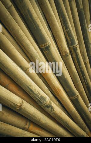 Der trockenen Bambus fr Baustoffe gestapelt Stockfotografie - Alamy