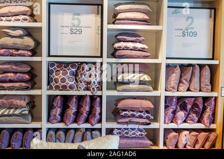 Miami Florida, Geschäfte in Midtown Miami, West Elm Furniture Store, Stühle, Vitrine, FL100405049 Stockfoto