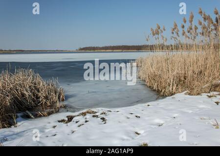 Schnee am Ufer eines zugefrorenen See und hohen Schilf. Horizont und blauer Himmel - im Winter sonniger Tag Stockfoto