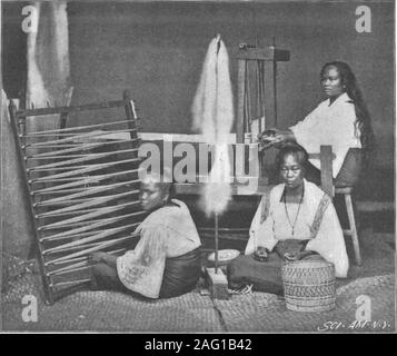 . Scientific American Band 79 Nummer 12 (September 1898). Durch Büffel gedreht areused in einigen Orten für schälen Reis formarket. Zusätzlich zu diesem lowlandrice, viel Holz wird aus continuallycut und Berg Reis gepflanzt. Diese Methode wurde auf socontinuously an vielen Orten, dass thecoarse, Gras an die Stelle der Holz genommen, und unterbrechungprüfen Plains oder Campos gebildet worden. Dieses Gras, Cogon, ist zu dick und stark durch therude gedreht werden, Pflüge, und große Teile des countryhave somit unbrauchbar werden mit Ausnahme der Weide. Der Büffel ist auch für das Reiten und für den Tran verwendet Stockfoto