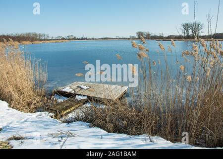 Holz- Plattform zwischen Schilf auf einem zugefrorenen See und Bäume am Horizont - im Winter Tag Stockfoto