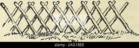 . Die Annalen der Gartenbau und Year-Book Informationen über praktische Gartenarbeit. t der Erde. Es sollte auch berücksichtigt werden, dass die Masse von trenchingeighteen Zoll gelöscht wird unendlich viel mehr Valu werden - in der Lage, leicht beschnitten, und bettercrops Ertrag, als alle, die teilweise ist, oder nachlässig, oder weniger effektiv gelöscht der Wurzeln; für itwill weniger destruktiv zu pflügen und othertools und Geräte von Zeit zu Zeit verwendet werden, und ist bereit für diese Kulturen wie Karotten, Pastinaken, Mangold wurtzel und dergleichen, thatrequire Tiefe von Erde, um toperfection angebaut werden. Der Zäune. Stockfoto