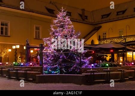 Weihnachten winter nacht in Maribor, Slowenien Stockfoto
