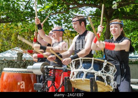 Miami Florida, MacArthur Causeway, Ichimura Japanese Garden, Haru Matisuri Spring Festival, Fushu Daiko Drummers, Performance, Teamwork, FL100430064 Stockfoto