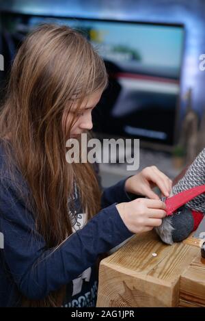 Langhaarige Mädchen bereitet eine Christmas Ornament - ein Zwerg - auf den Kamin Stockfoto