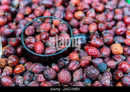 Viele briar Frucht der Hagebutte oder Wild Rose Rosa Canina für abstrakte Hintergrund Stockfoto