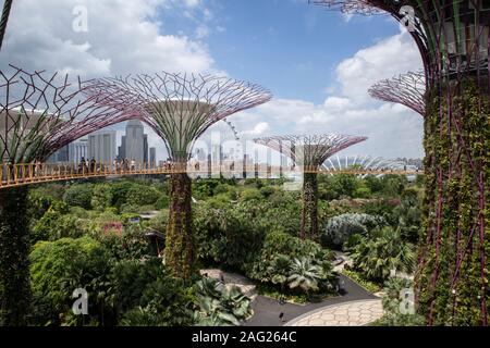 Gärten in der Bucht, Singapur Stockfoto