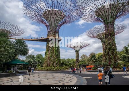 Gärten in der Bucht, Singapur Stockfoto