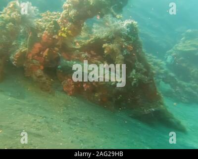 Barracuda in der Liberty Wrack in Tulamben auf Bali Stockfoto