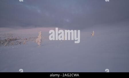 Winterliche Szene an Pallastunturi, Pallas-Yllästunturi-Nationalpark (Pallas-Yllästunturin kansallispuisto), Muonio, Finnland Stockfoto