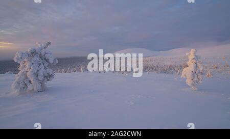 Winterliche Szene an Pallastunturi, Pallas-Yllästunturi-Nationalpark (Pallas-Yllästunturin kansallispuisto), Muonio, Finnland. Hotel Pallas in der Mitte. Stockfoto