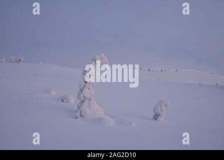 Winterliche Szene an Pallastunturi, Pallas-Yllästunturi-Nationalpark (Pallas-Yllästunturin kansallispuisto), Muonio, Finnland Stockfoto