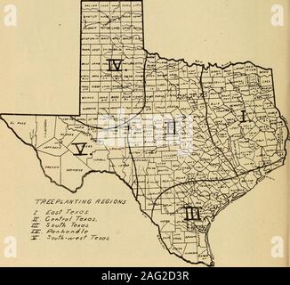 . Das Pflanzen von Bäumen in Texas Städte. ly zeigen Bäume angepasst oder zu unterschiedlichen Bedingungen geeignet: BÄUME ANGEPASST AN engen Gassen Lombardei Pappel Robinie Mesquite Silver Maple Hackberry Silber Pappel des Himmels Carolina pappel Gingko Box Elder Bäumen angepasst an breiten Alleen Eichen Honig-heuschrecke Willow Elm Magnolia Nussbaum Bergahorn Pecan Kampfer baum Sweet gum Asche Mulberry Lindenholz Cottonwood Eussian olive Tulip Tree Eukalyptus Bois darc BÄUME EGR-SEHR SCHWERE STADT VORAUSSETZUNGEN - Enge Parkplätze, Öl-, Rauch, etc. Baum des Himmels Sycamore europäische Platane (xingko KURZLEBIGE BÄUME Pappel Silv Stockfoto