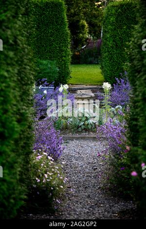 Cleome weiße Königin, jährlich, Kamin Stapel, Gartenfunktion, Abschnitt, teilen, getrennt, Bereiche, Garten, Gärten, formell, Design, RM Floral Stockfoto