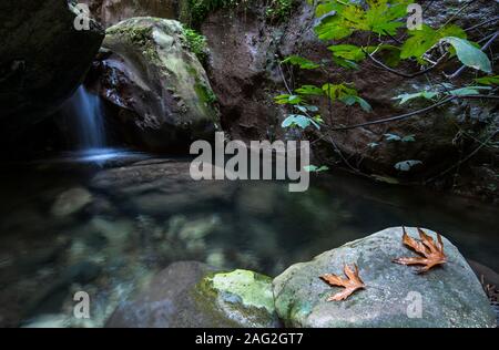 Idyllischen ruhigen See mit blauen sauberes Wasser und kleinen Wasserfall fließt zwischen den Felsen an der Akamas-Halbinsel auf Zypern. Stockfoto